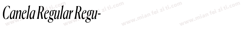 Canela Regular Regu字体转换